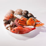 〈札幌市中央卸売市場から直送〉北海道の旬のおまかせ鮮魚セット 貝と魚 20kg