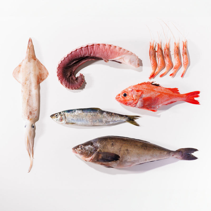 〈札幌市中央卸売市場から直送〉北海道の旬のおまかせ鮮魚セット 貝と魚 10kg
